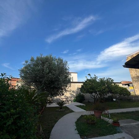 Cycas Villa Cellole Exterior foto