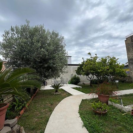 Cycas Villa Cellole Exterior foto