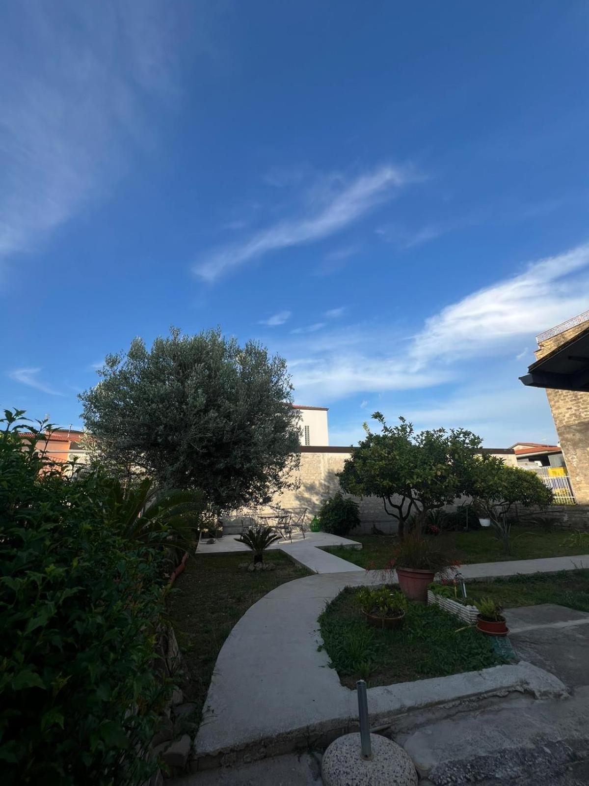 Cycas Villa Cellole Exterior foto