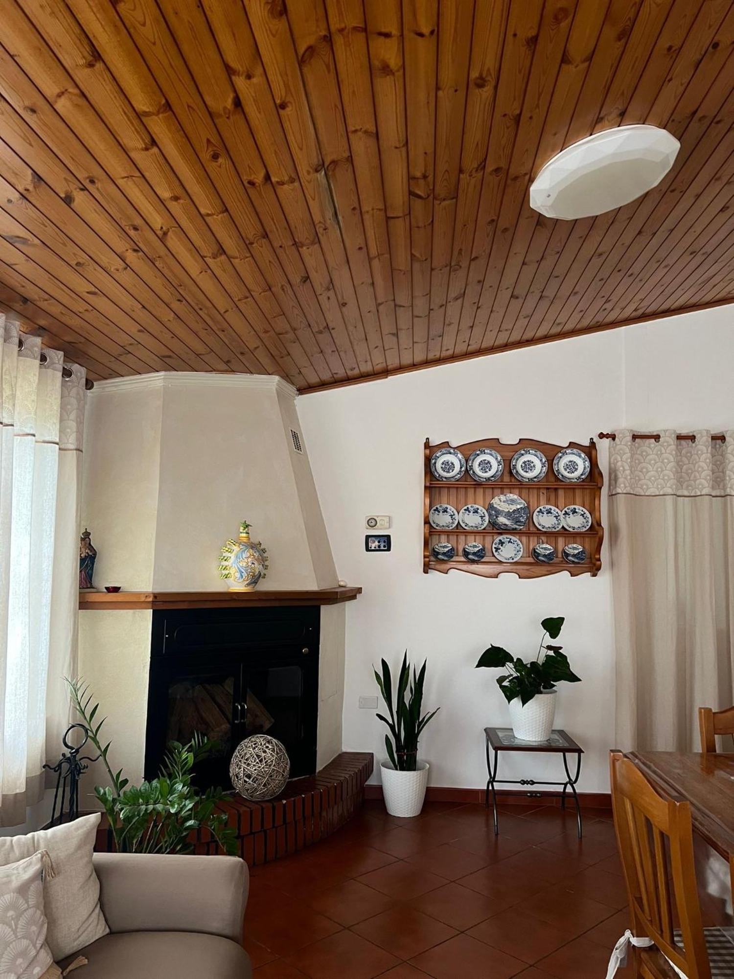 Cycas Villa Cellole Exterior foto
